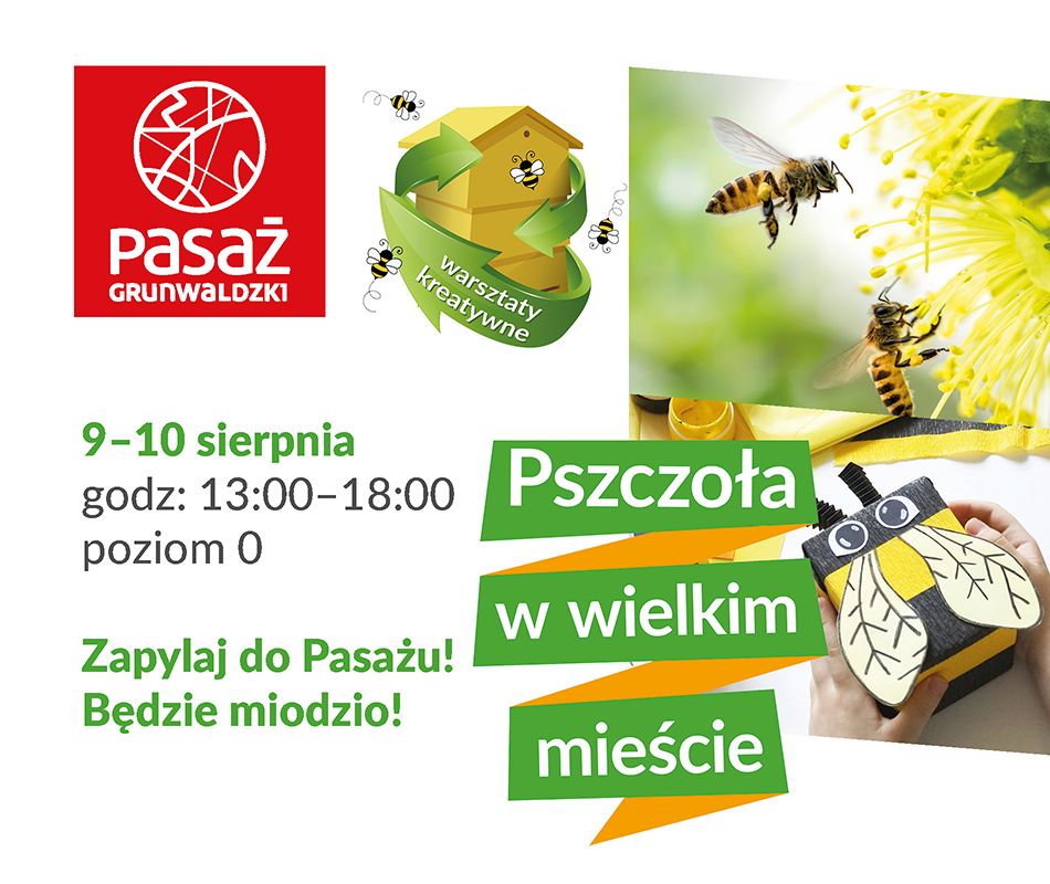 Pszczoa wwielkim miecie – czyli eko wydarzenie wPasau Grunwaldzkim